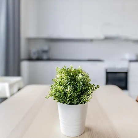 Apartment, Sleepwell, Kirstinpuisto 公寓